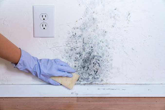 Eliminating Bathroom Mold Permanently
