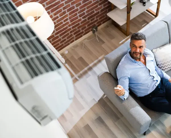 Air Purifiers vs Whole-House Air Filtration Systems
