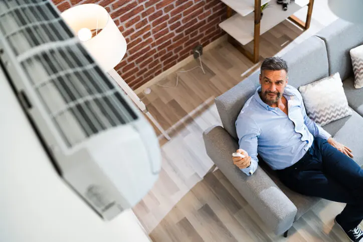 Air Purifiers vs Whole-House Air Filtration Systems